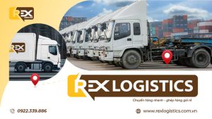 Giới thiệu Rex Logistics