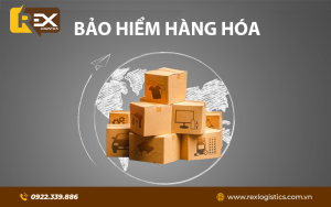 Dịch Vụ Môi Giới Bảo Hiểm Hàng Hóa