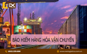 Tại Sao Cần Bảo Hiểm Hàng Hóa Khi Vận Chuyển?