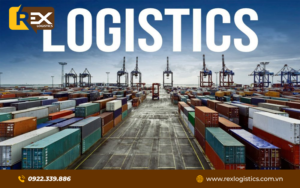 Tại sao doanh nghiệp cần dịch vụ logistics chuyên nghiệp?