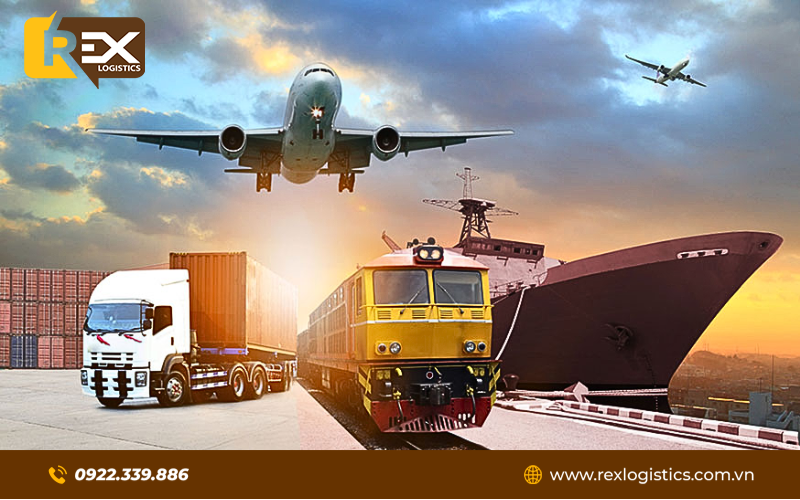 Vận chuyển hàng hóa – Rex Logistics 092 233 98 86